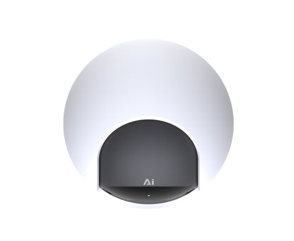 Home Security Bundle: W510 Outdoor Camera + C221 Indoor Camera (2 Packs)